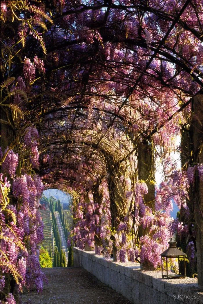 从哲学跨界到景观设计大师,他却说自己只是 一位 “ 园丁 ”