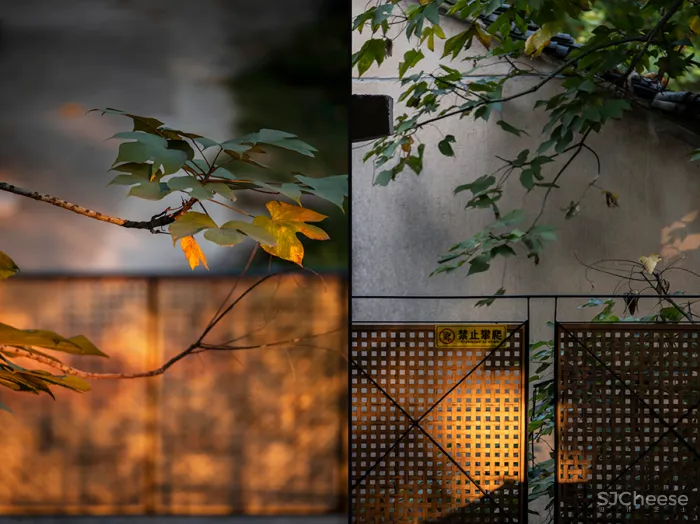 李聪 - 陈书灏 • 莫干山蚕种场｜历史保护建筑“化茧成蝶”