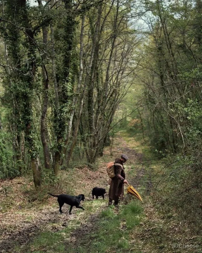 意大利翁布里亚庄园酒店Ristorante Alle Scuderie-这家即将开业的千年庄园酒店,美轮美奂!