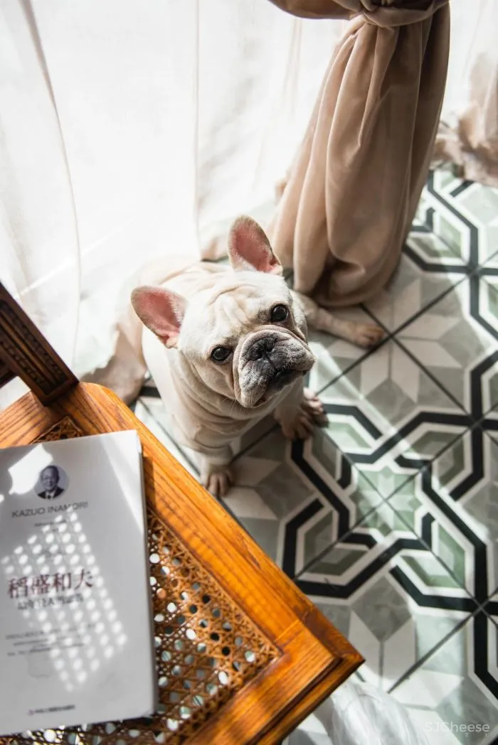 这4个年轻人“折腾”出来的家,内心戏也太足了吧!