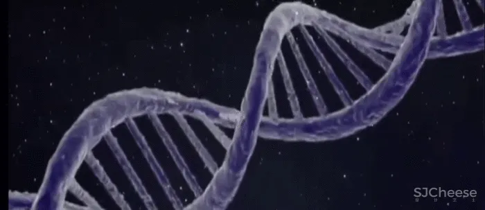 元禾大千新作 丨 艺术基因 空间的序列语言