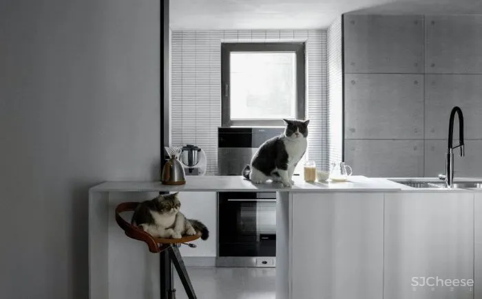 聚点·黑白灰秩序下的场域精神 TLID桐里设计「星作」