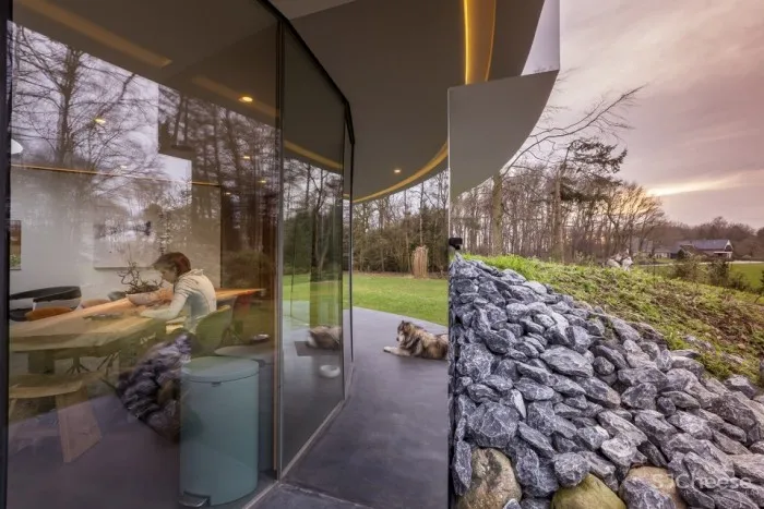 为一条狗设计的全景别墅