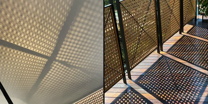 李聪 - 陈书灏 • 莫干山蚕种场｜历史保护建筑“化茧成蝶”