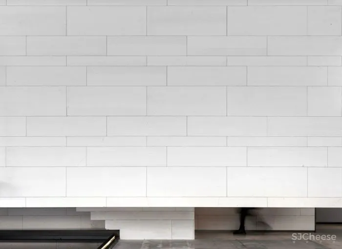 AI DESIGN The Shape Of Water