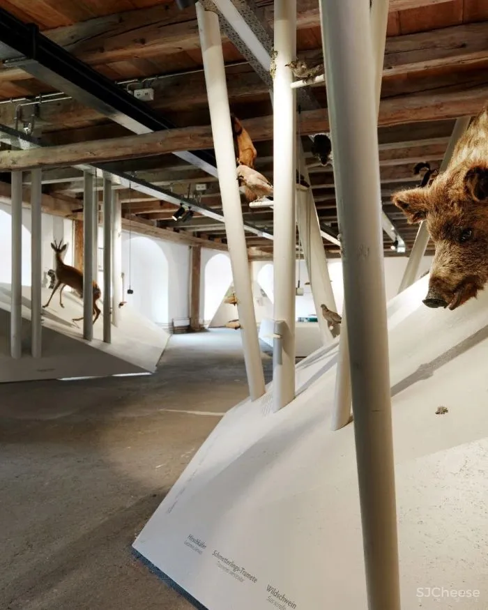 新作 将当地景观转化为抽象装置 自然公园游客中心空间设计 INNOCAD