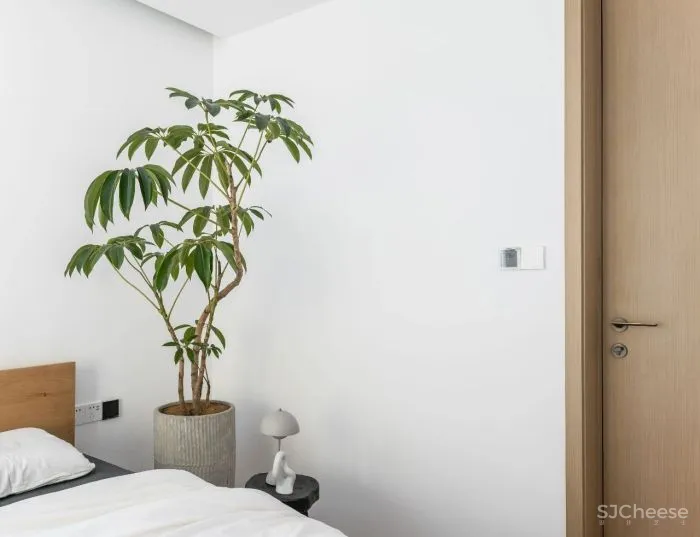 盐系奶咖与极简主义,国潮回力设计师的家 FF新作