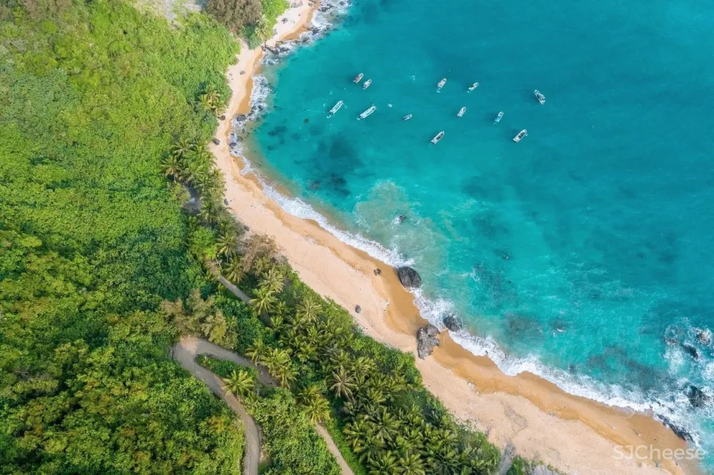 新作丨 雅居乐 x 赛拉维 · 向海而兴