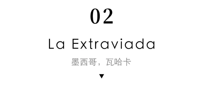 明星夫妻在森林造隐形豪宅