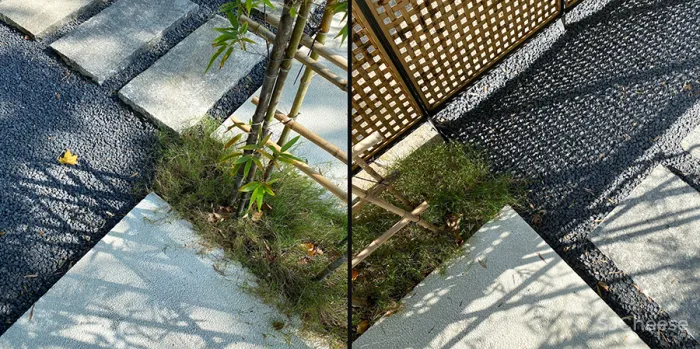 李聪 - 陈书灏 • 莫干山蚕种场｜历史保护建筑“化茧成蝶”