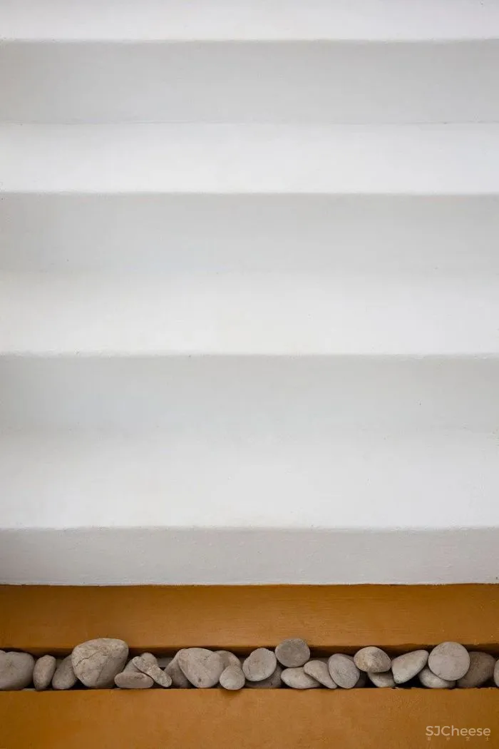 MNMA Studio 野性与灵性的呼唤