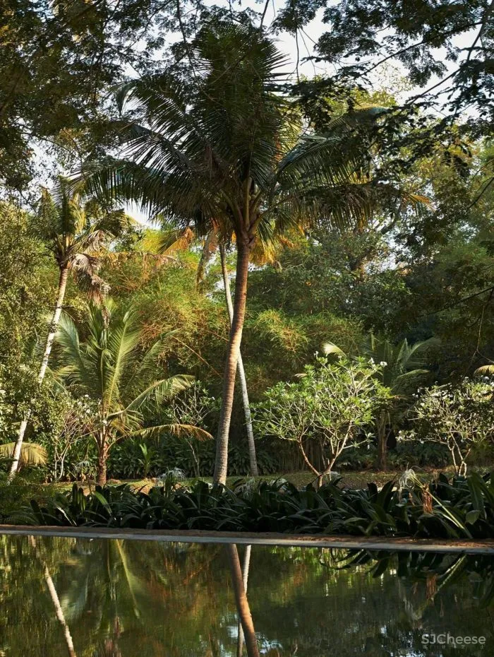 Studio Mumbai-像艺术家一样思考的建筑师!