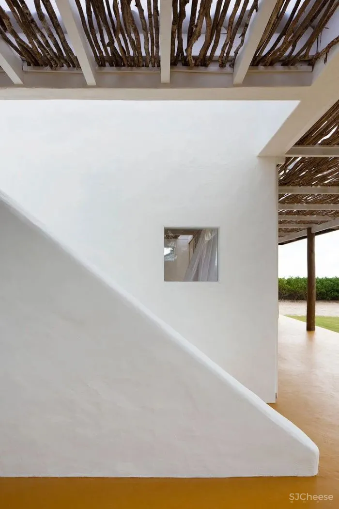 MNMA Studio 野性与灵性的呼唤