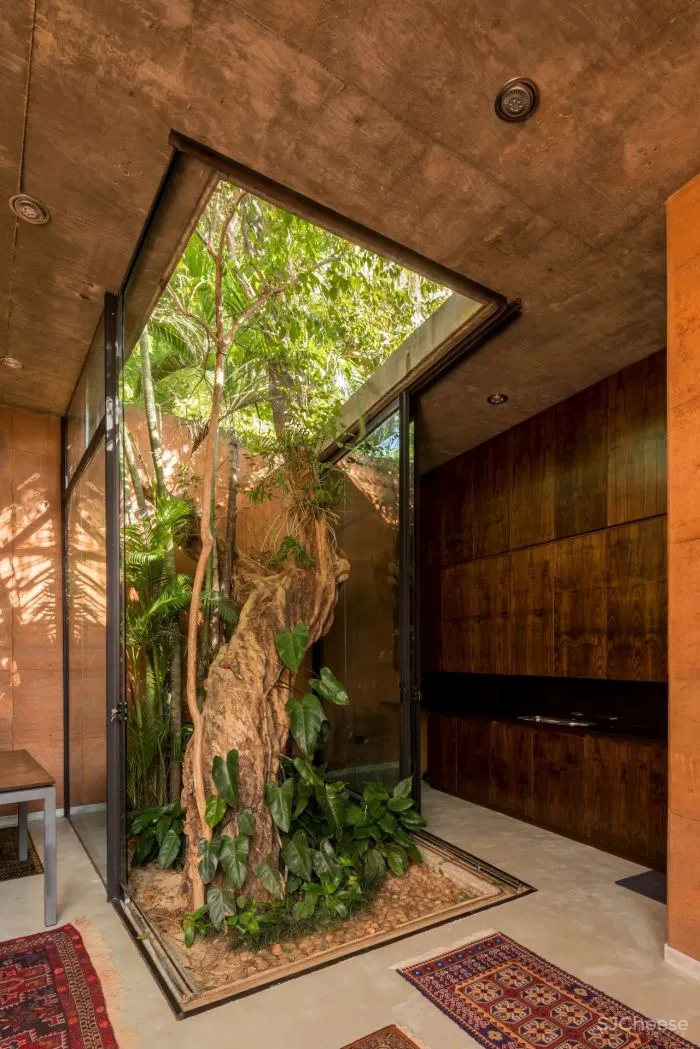 Equipo de Arquitectura丨光影与树 ，洗涤心灵的地方