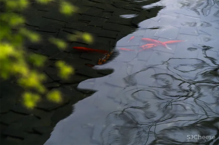 ONE CU 壹方设计 见山茶庐,林中低语