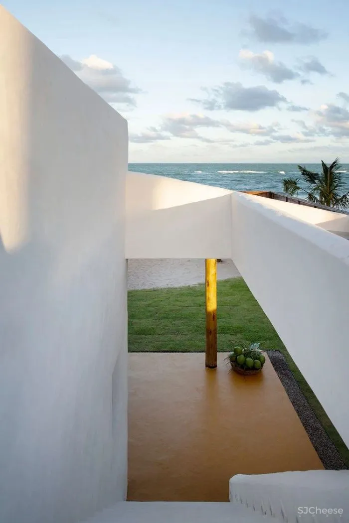 MNMA Studio 野性与灵性的呼唤