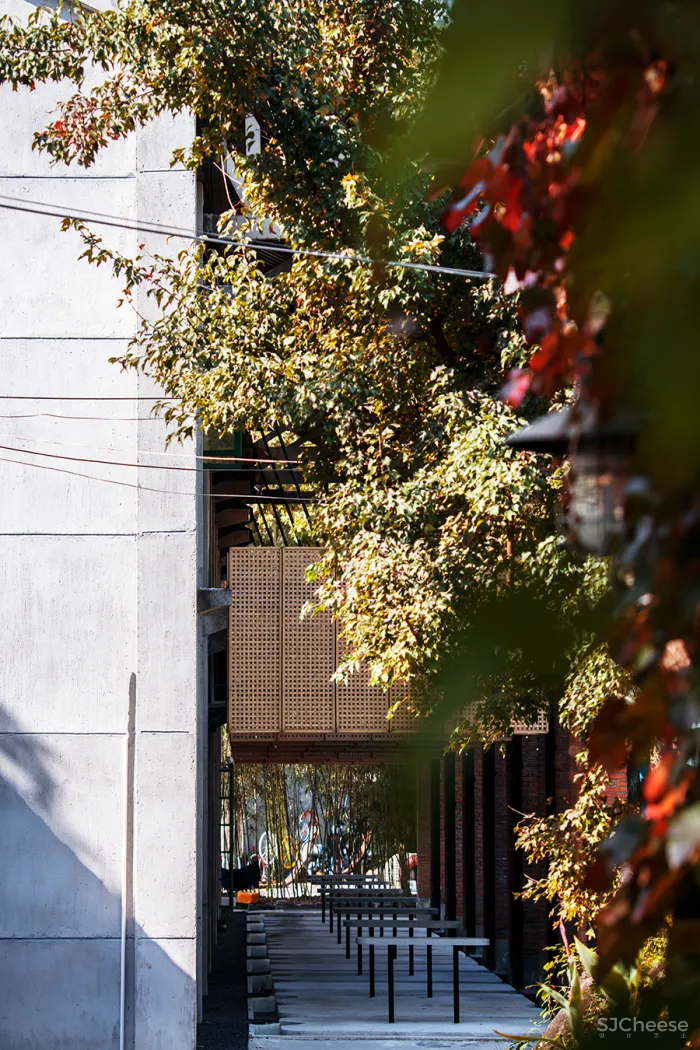 李聪 - 陈书灏 • 莫干山蚕种场｜历史保护建筑“化茧成蝶”