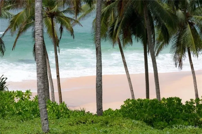 度假目的地|盘点全球38家安缦酒店设计