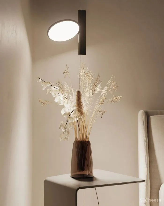 一居室的公寓,这样设计 1㎡ 都不浪费还显格调