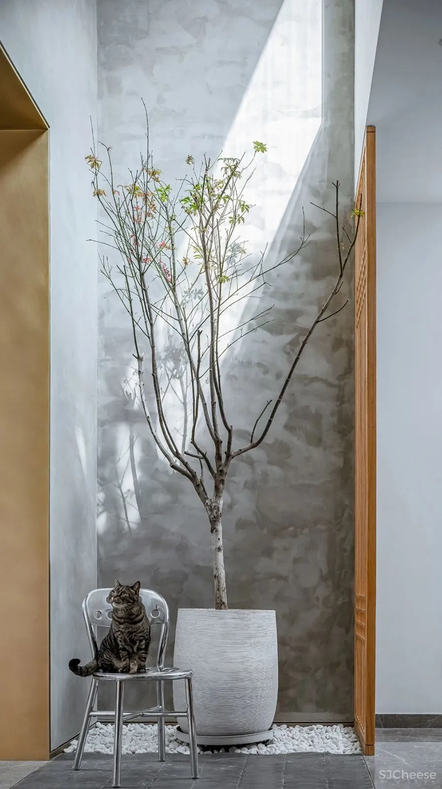 新作丨 张弦:静庵———喧闹都市中的田园意趣