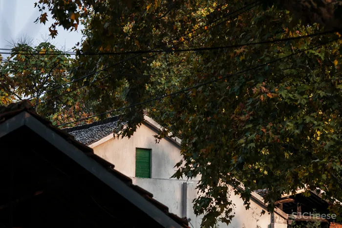 李聪 - 陈书灏 • 莫干山蚕种场｜历史保护建筑“化茧成蝶”