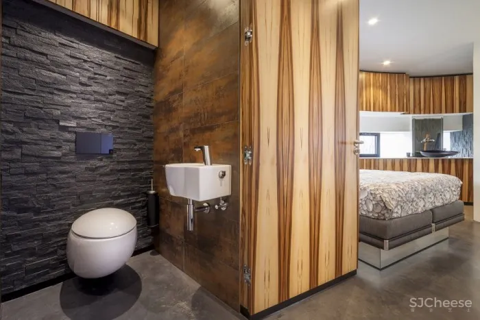 为一条狗设计的全景别墅