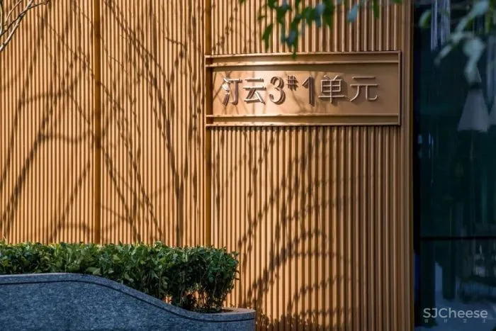 全国地产看重庆|网红地产复盘 大师豪宅项目考察