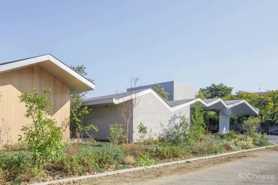 新作丨 树木穿透屋顶 林中诊所 Takashige Yamashita Office