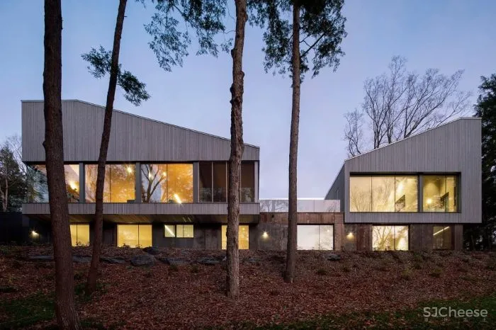 naturehumaine │ 悬浮在森林中的住宅,隐逸而宁静
