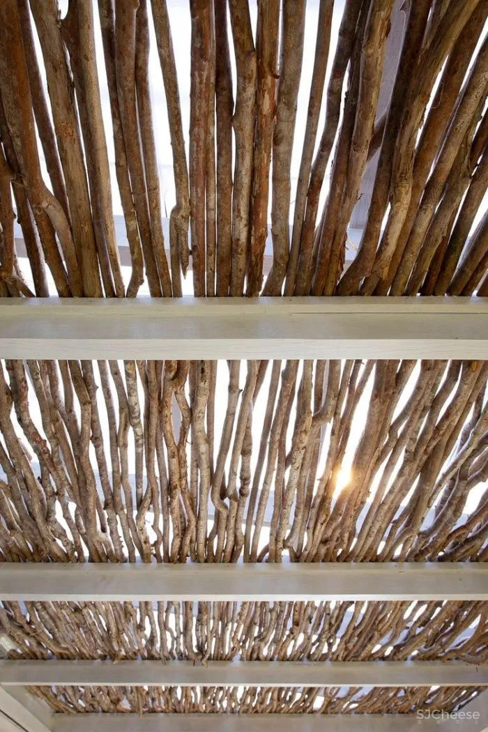 MNMA Studio 野性与灵性的呼唤