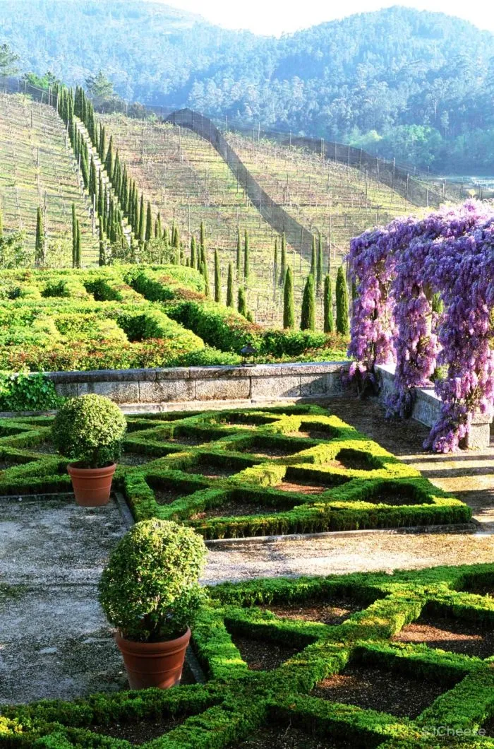 从哲学跨界到景观设计大师,他却说自己只是 一位 “ 园丁 ”