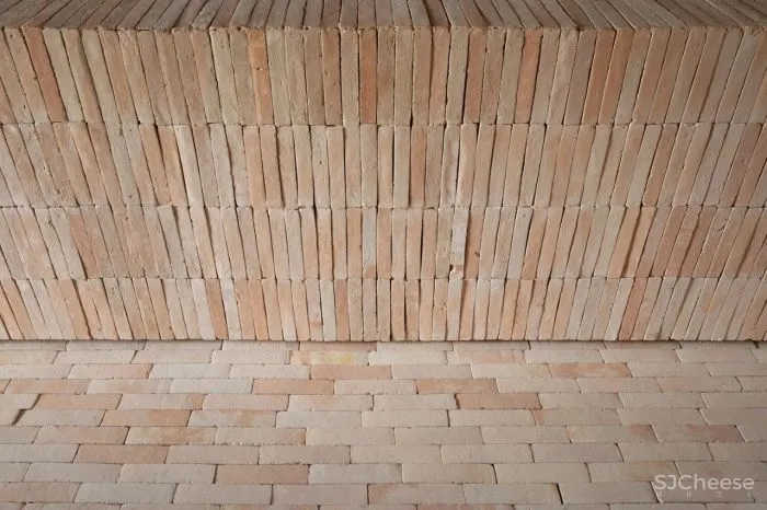 MNMA Studio 野性与灵性的呼唤