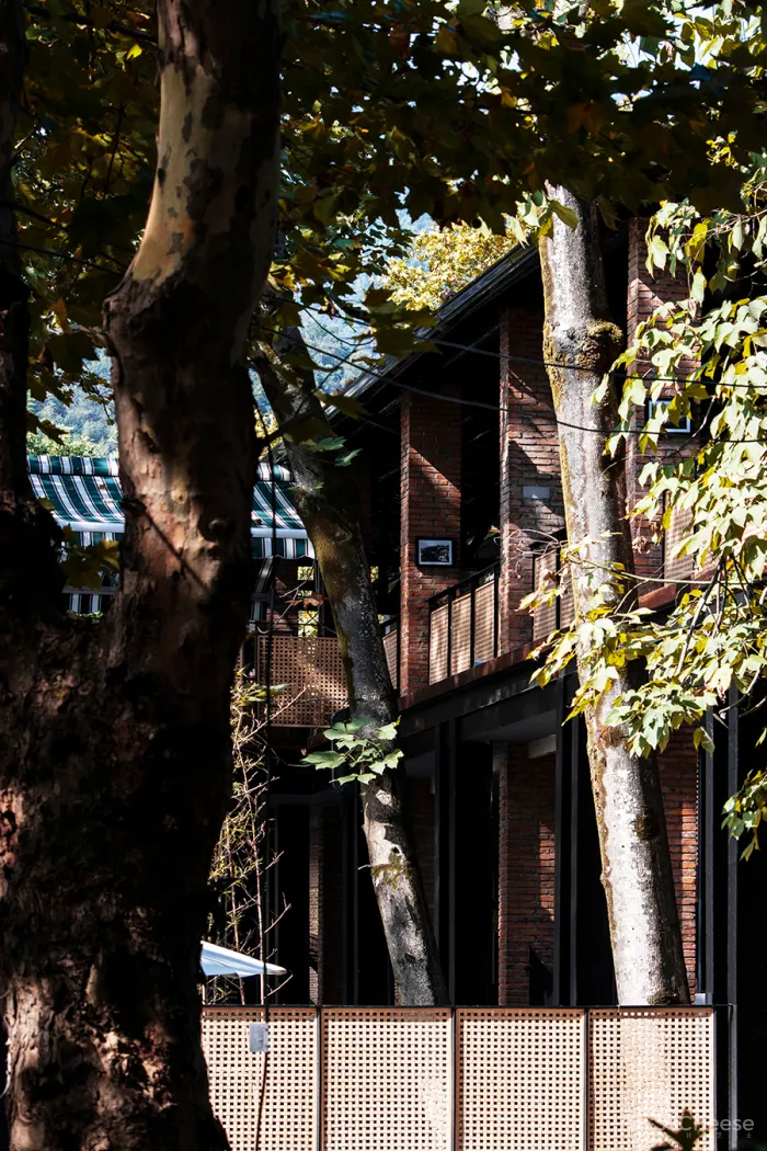 李聪 - 陈书灏 • 莫干山蚕种场｜历史保护建筑“化茧成蝶”