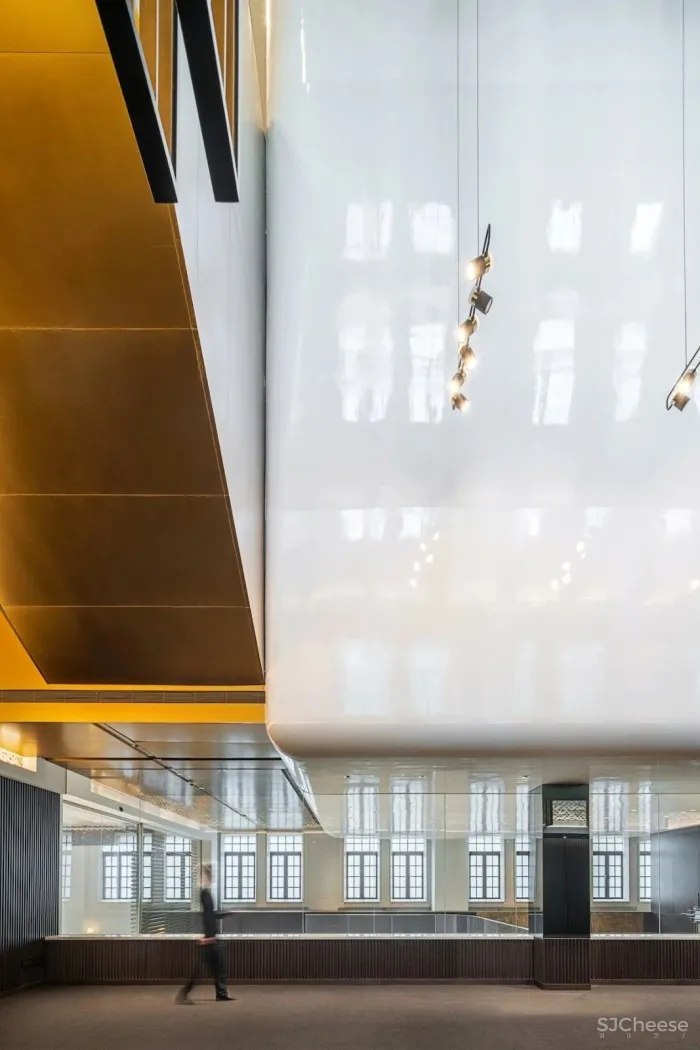 重庆18T,像“梯”一样生长!