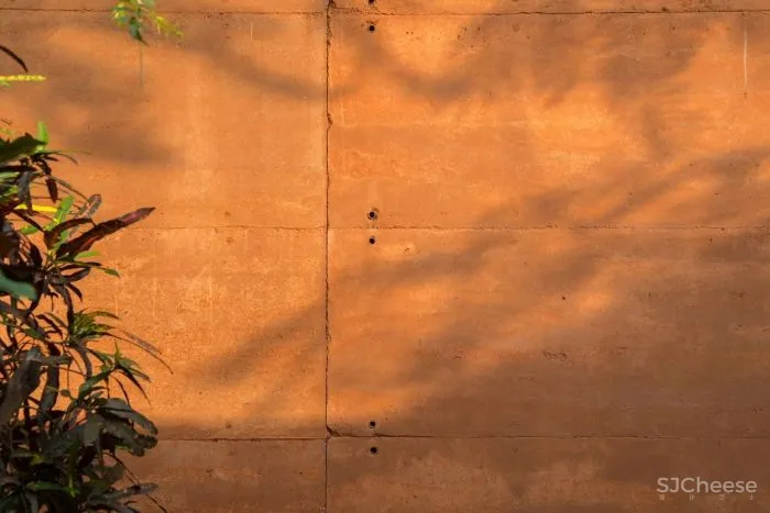 Equipo de Arquitectura丨光影与树 ，洗涤心灵的地方