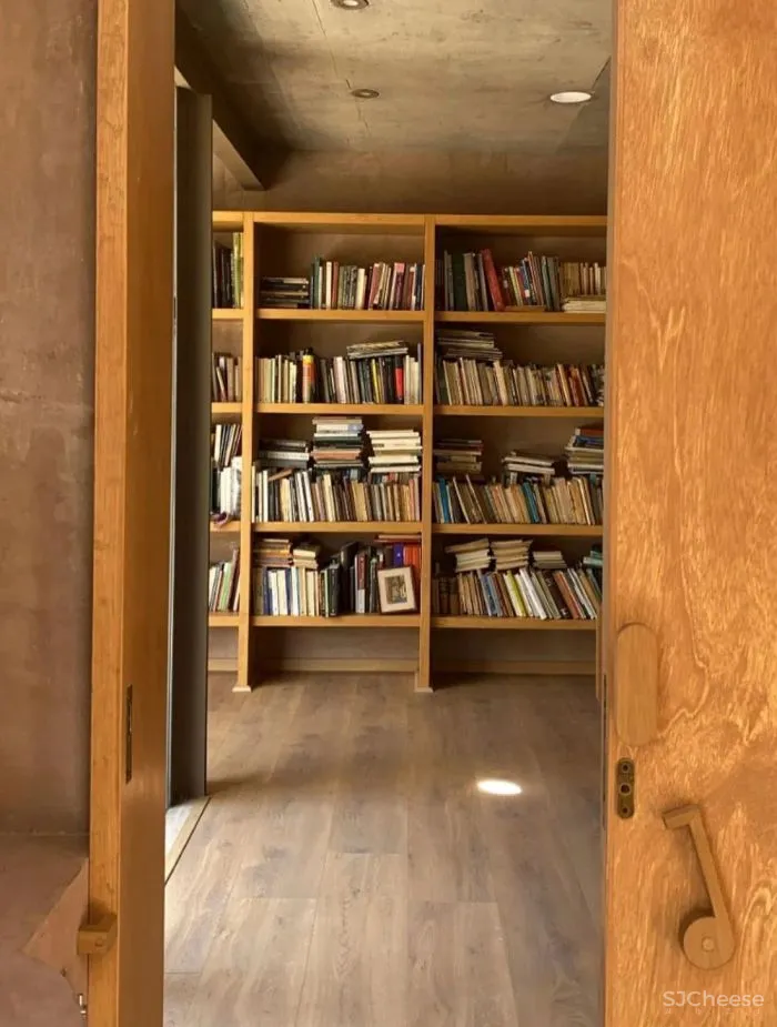 温暖的墨西哥自然主义 Daniela Bucio Sistos