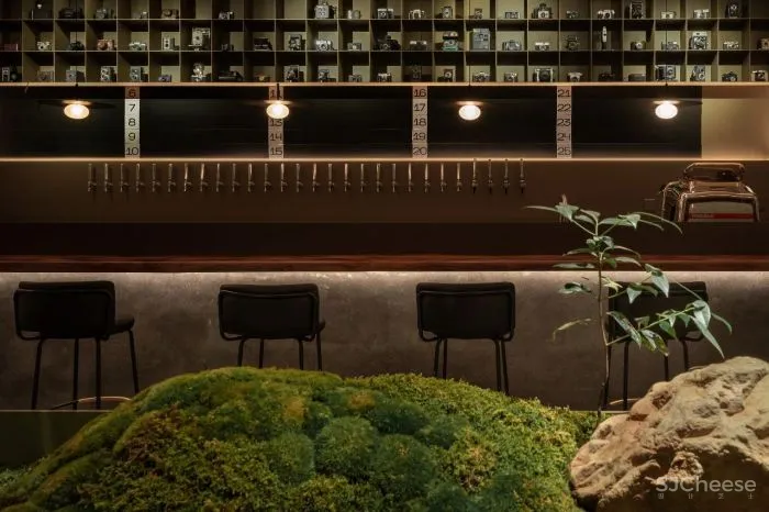 GTD新作丨 市井里巷下的光与影 RAY PUB 暗光精酿咖啡