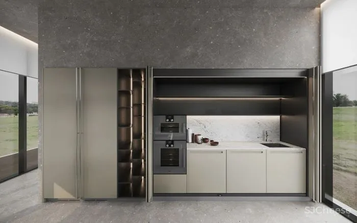 极简即极奢 Alina Larionova新作