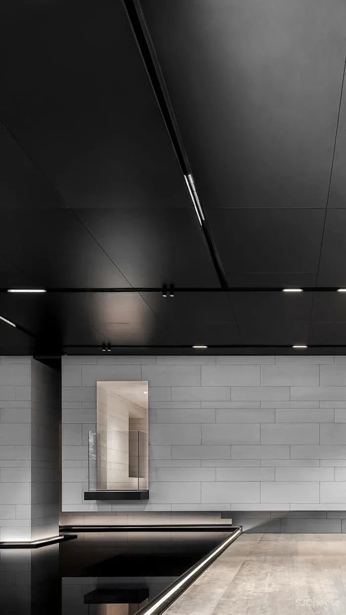 AI DESIGN The Shape Of Water