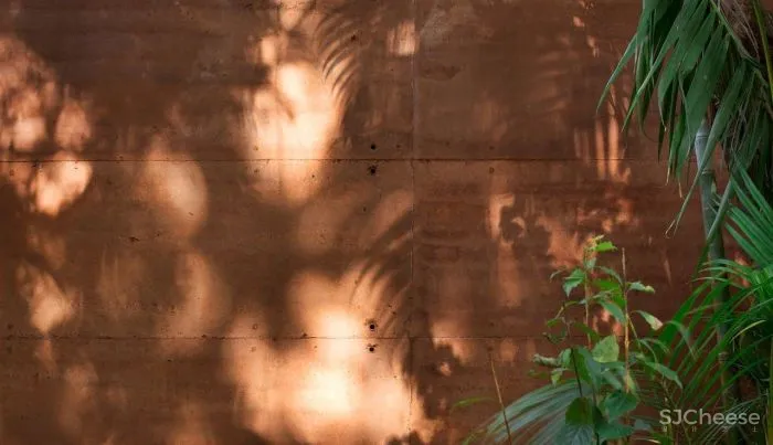 Equipo de Arquitectura丨光影与树 ，洗涤心灵的地方