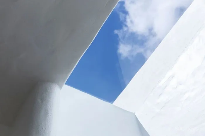 MNMA Studio 野性与灵性的呼唤