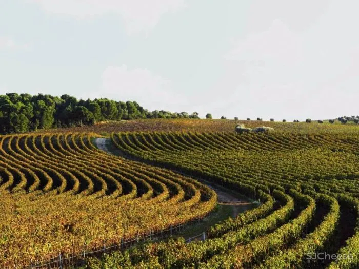 从哲学跨界到景观设计大师,他却说自己只是 一位 “ 园丁 ”