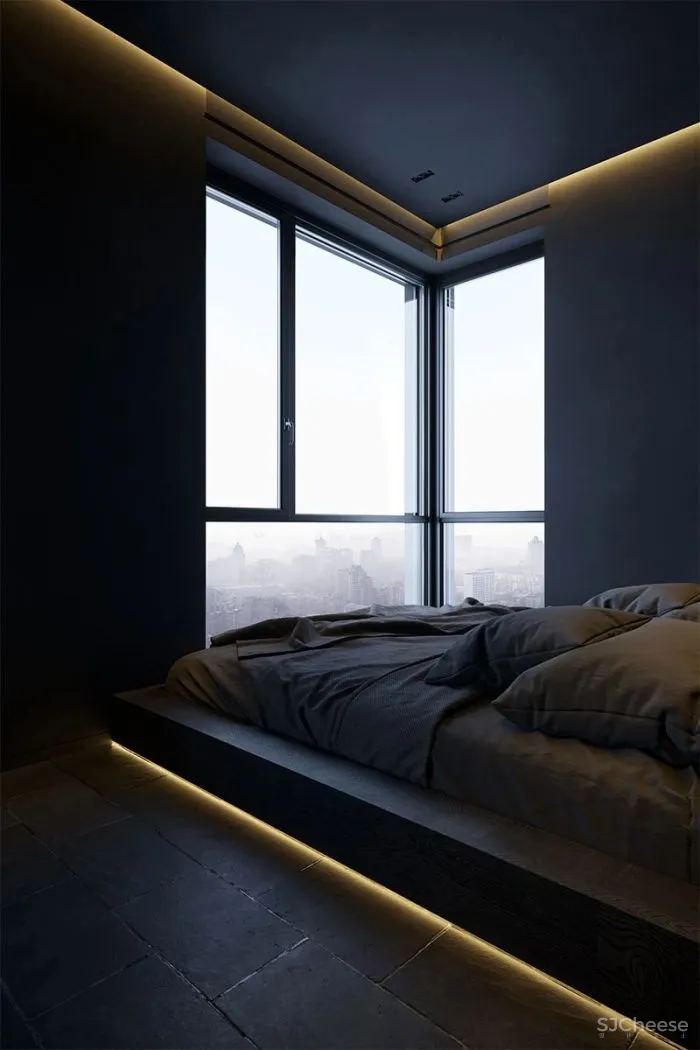 不一样的禁欲主义