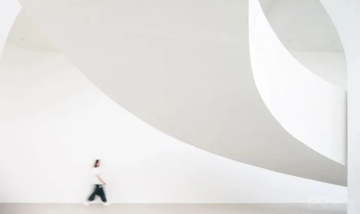 灵魂底色见证幸福时刻