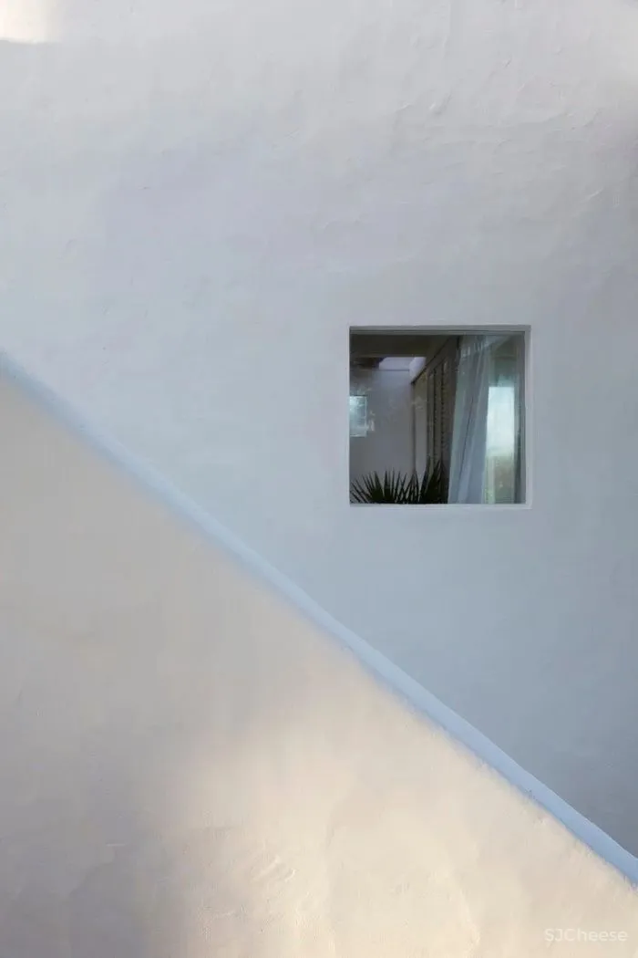 MNMA Studio 野性与灵性的呼唤