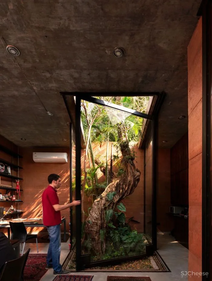 Equipo de Arquitectura丨光影与树 ，洗涤心灵的地方