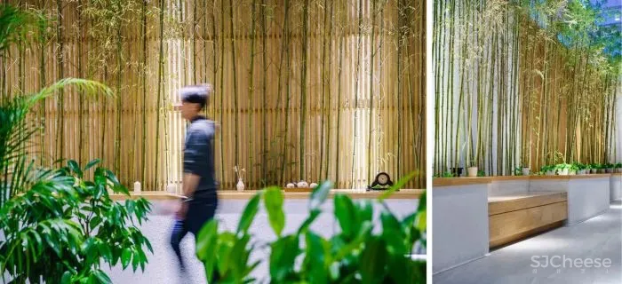 国内优质康养项目 老龄化时代的到来，看新社会语境下的适老建筑如何治愈余生？