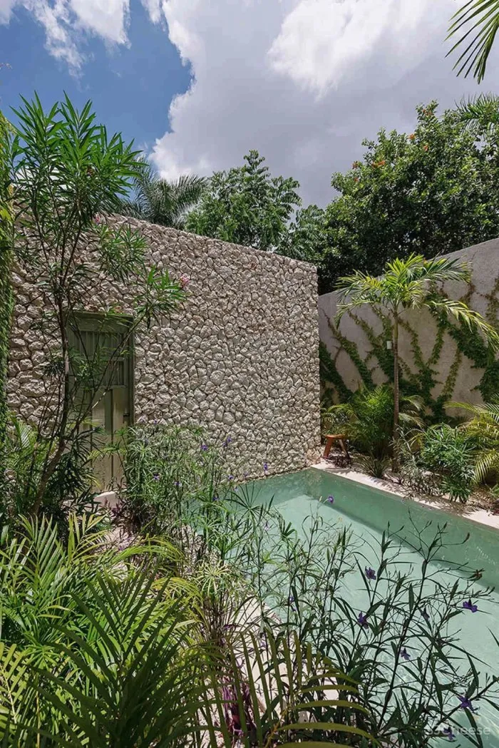 设有小型庭院和游泳池的墨西哥的时尚别墅