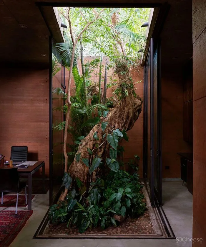 Equipo de Arquitectura丨光影与树 ，洗涤心灵的地方