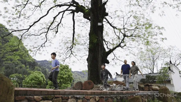 一对沪漂夫妻,回张家界造11层盒子屋,坐拥仙境最美景色